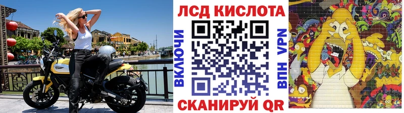 купить наркотик  KRAKEN вход  Наркотические марки 1500мкг  Каменка 