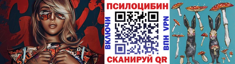 где можно купить наркотик  Каменка  Галлюциногенные грибы ЛСД 